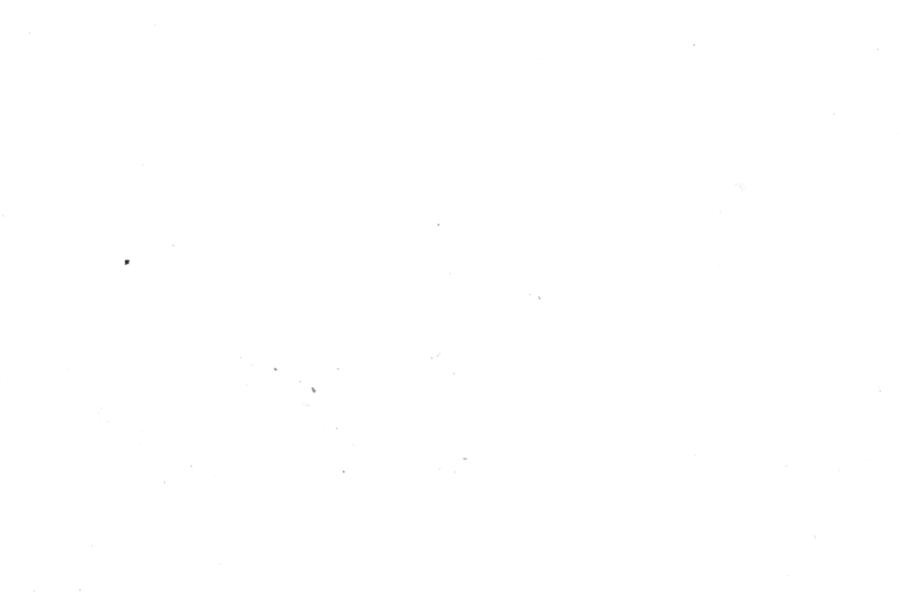 Image 42